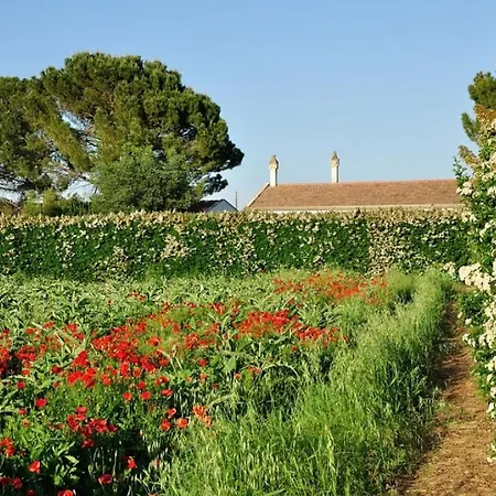 Sleeps 2 Pool Wifi T764334 Appartamento