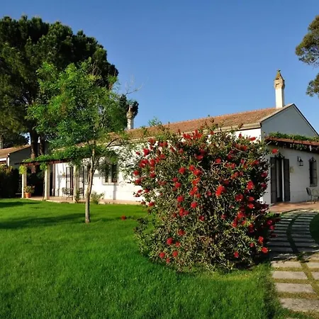 Appartamento Sleeps 2 Pool Wifi T764334 Montescaglioso